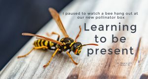 A bee on a wooden board with the words: I paused to watch a bee hang out at the our new pollinator box. Learning to be present.